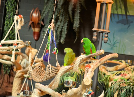 Huisvesting Huisvesting