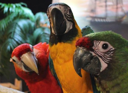 Actueel aanbod Actueel aanbod