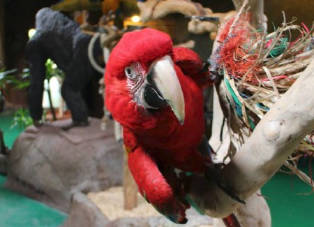 Opvoeding & gedrag Opvoeding & gedrag